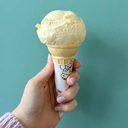 humble cow dairy free sorbet